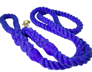 the leashes